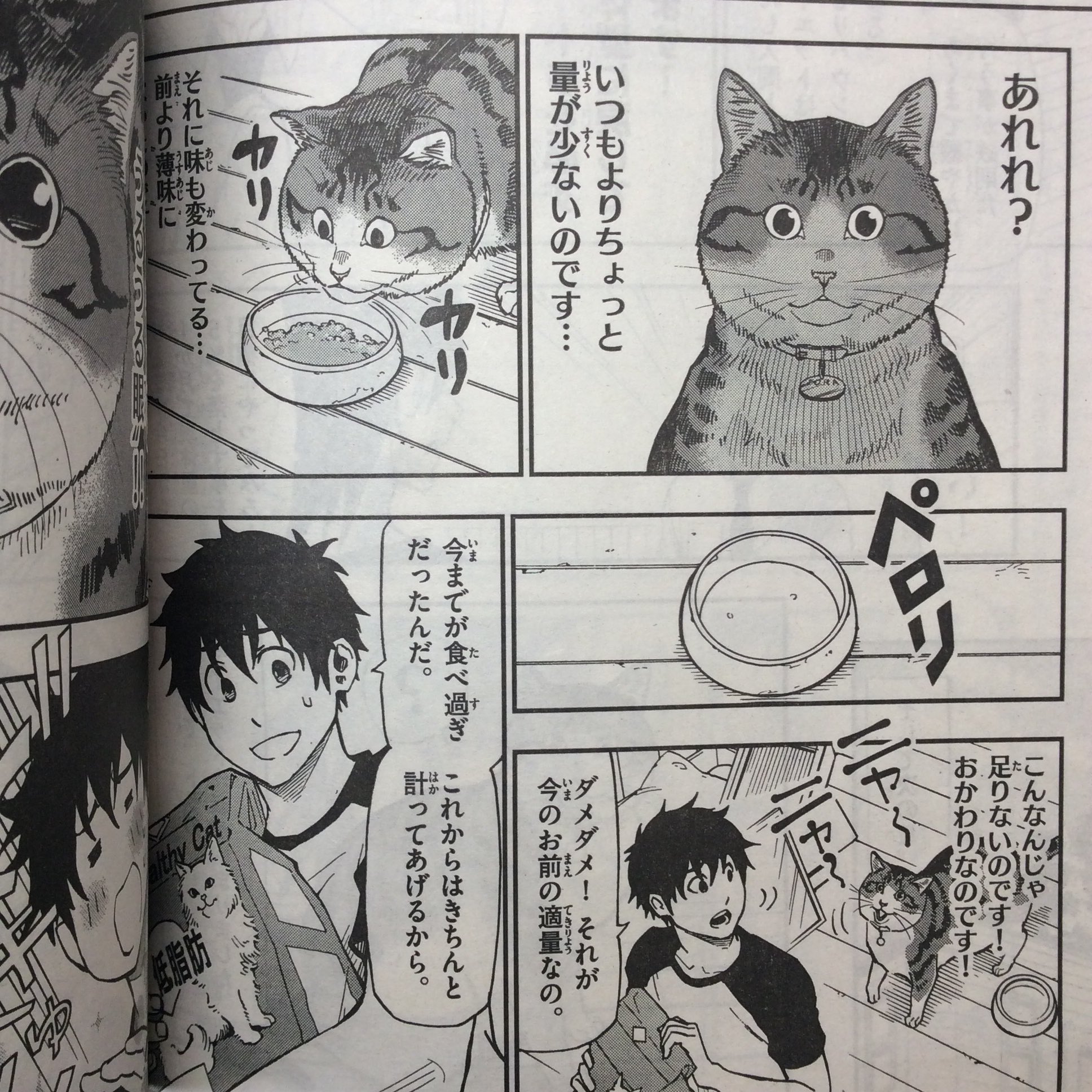 灘谷航 猫暮らしのゲーマーさん 巻発売中 サンデーs 4月号に ねこったけ 17話目 載ってます 今回は猫のダイエット作戦のお話です 発売中の単行本1 3巻と合わせてどうぞ宜しくお願いします 灘谷航 猫暮らしのゲーマーさん 巻発売中 サンデーs 4月号に ねこったけ 17話目 載ってます 今回は猫のダイエット作戦のお話です 発売中の単行本1 3巻と合わせてどうぞ宜しくお願いします