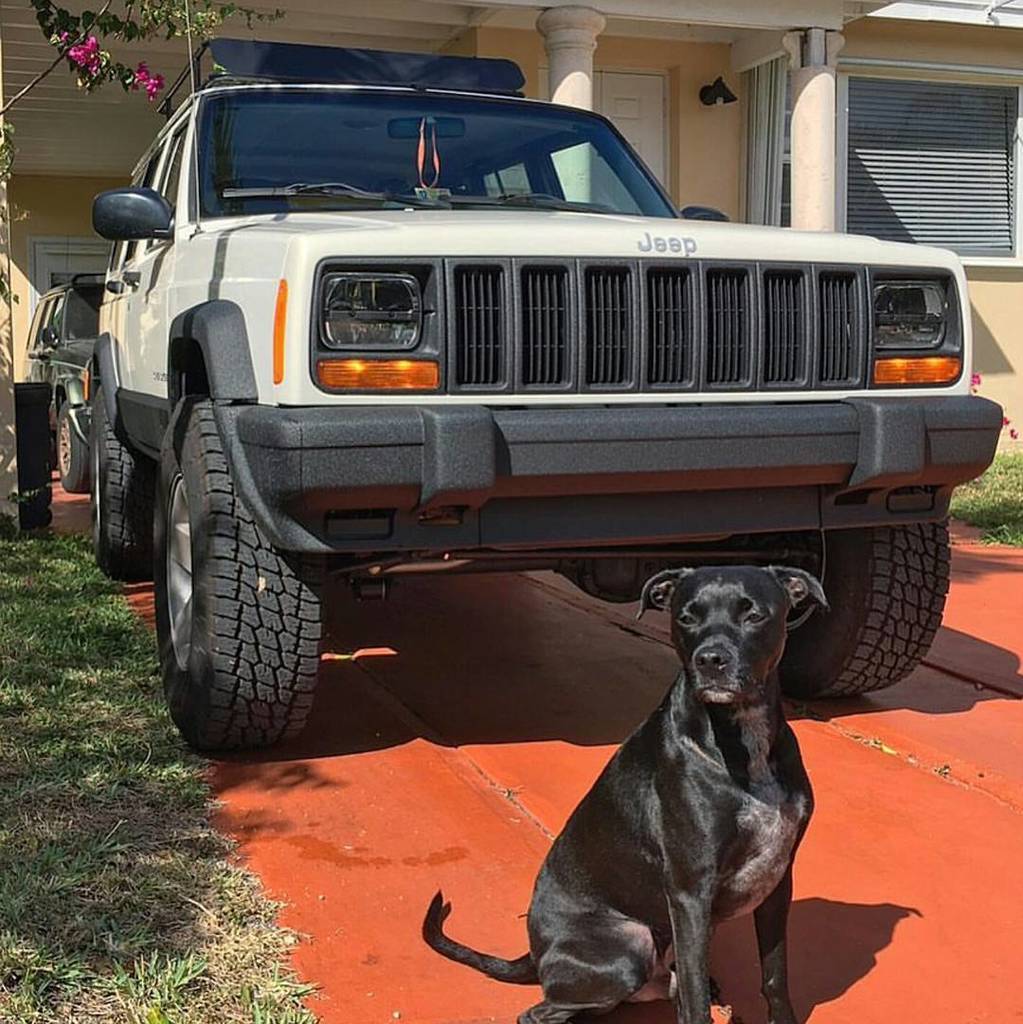 jeepindogs's tweet photo. @eilliww #jeepindogs #jeep #jeepdog #jeepdogs #jeepindog #jeeplife #jeepsarefordogs #itsaj… https://t.co/zLY6AguKHu https://t.co/LqbsJtpX2N