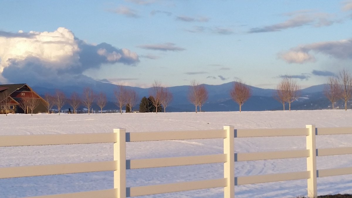 Marty Folsom tweet media