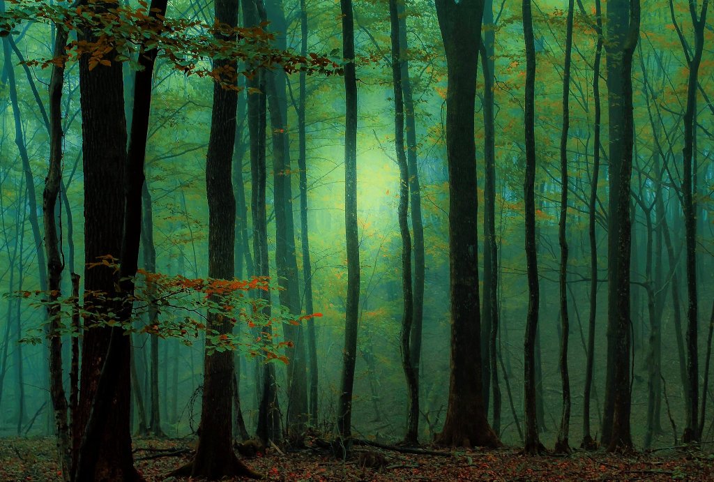 SavedRadically's tweet image. Deception
Lies are deceptive They cheat your Soul
One tall tail leads to 6 others ~ They
Grow from a sapling into a Forest
Ensnaring you ~