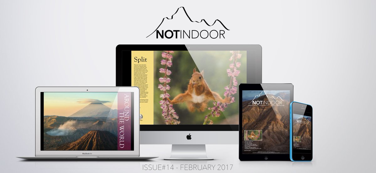 Not Indoor tweet media