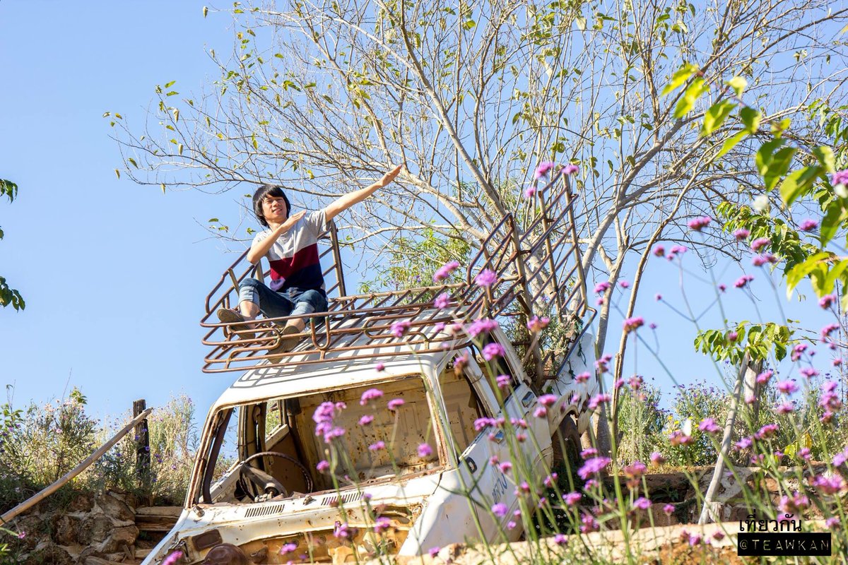 teawkan's tweet image. เที่ยวกัน....ไปป่าว?
ม่อนจอง  เชียงใหม่
#เที่ยวกัน #ไปป่าว