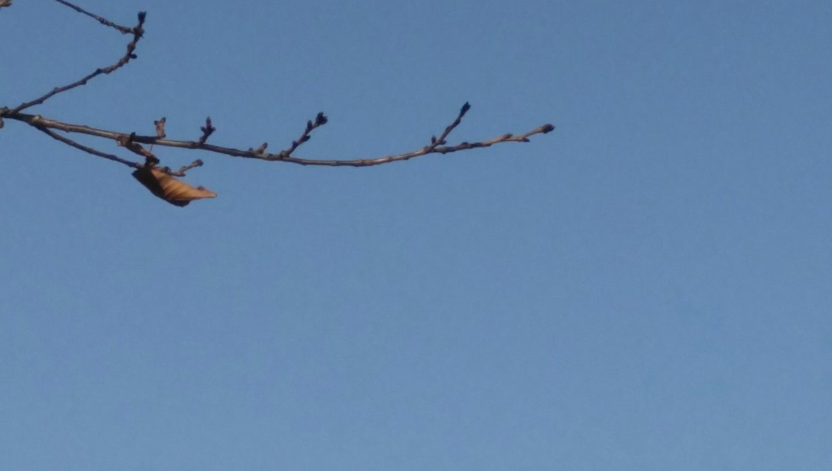 그날오후 tweet media