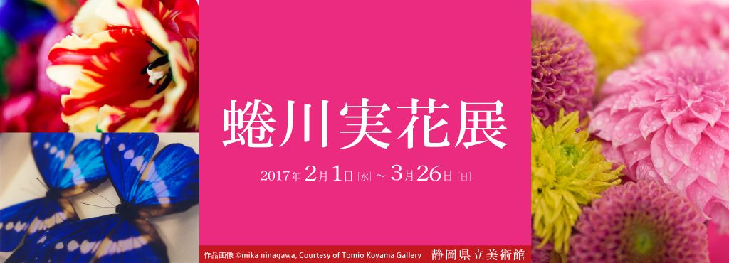 migle_LIFExART's tweet photo. 【締切間近】『蜷川実花展』が静岡県立美術館で開催中！鮮やかな色彩で創り上げられた蜷川実花の世界！無料招待券を5組10名様にプレゼント！2/26(日)まで。https://t.co/hJH5DZyLTS https://t.co/tLCnBpXVQd