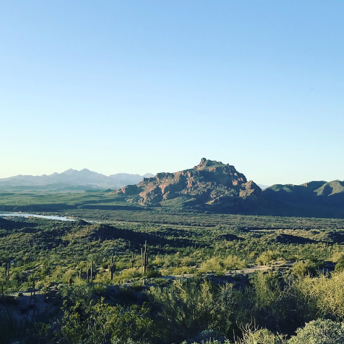 AZ_alchemist's tweet photo. "There's something wonderfully healing in Arizona air" ~Zane Grey. #superstitionalchemy #redmountain #picoftheday #organic #allnatural https://t.co/Z5btpaJasv