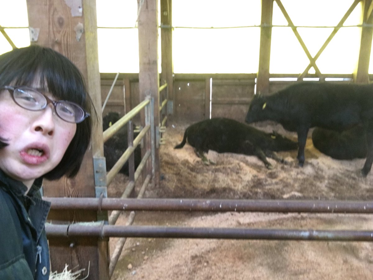 田中あつみ 但馬牛飼い精肉店 田中畜産 牛舎に行くと横向きになって寝てる子発見 ゚d゚ 安心してる証の寝姿なんだけどね 心臓に悪いよー 発見した時の心臓キュッてなるよーーー 牛飼いあるある 死んだように寝る子牛 田中あつみ 但馬牛飼い精肉店 田中畜産 牛舎に行くと横向きになって寝てる子発見 ゚d゚ 安心してる証の寝姿なんだけどね 心臓に悪いよー 発見した時の心臓キュッてなるよーーー 牛飼いあるある 死んだように寝る子牛