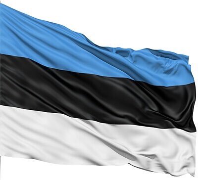 eevriviades's tweet photo. Warmest congrats & VBW @LauriBambus, colleagues & all Estonian friends on auspicious 99th anniversary of independence. #Estonia 🇪🇪 #EV99 #EU https://t.co/zrHHLFC3Ob