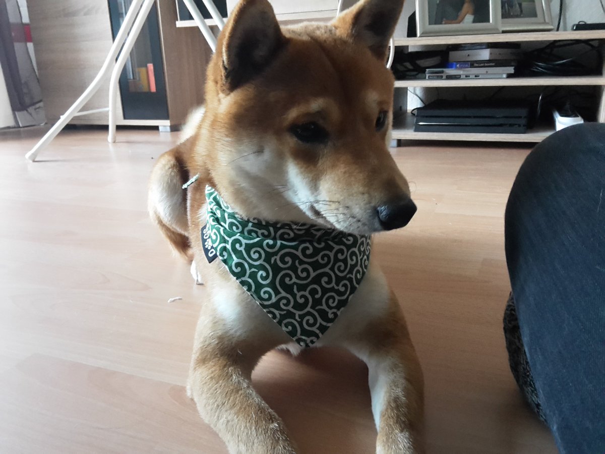 karakusa bandana