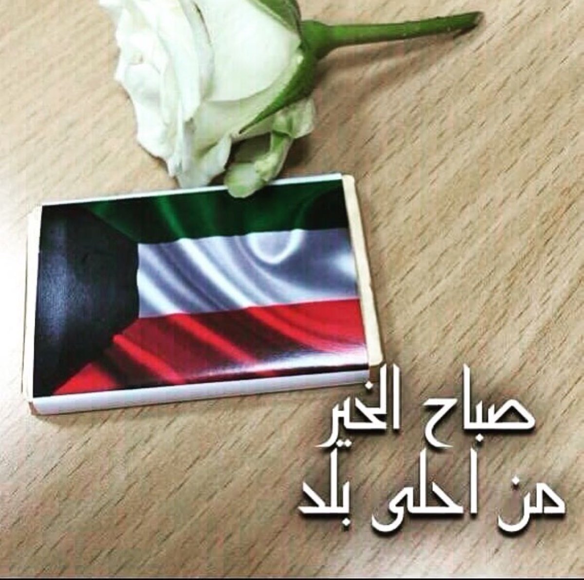 سعدى بنت عوف م. بنات (@soada_bent_oaf) on Twitter photo 
