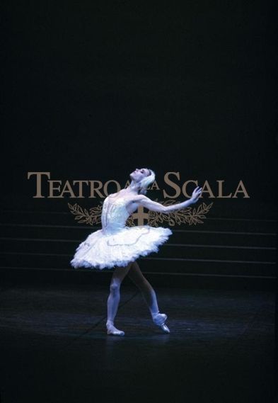 Buon Compleanno a / Happy Birthday to Sylvie Guillem Via 