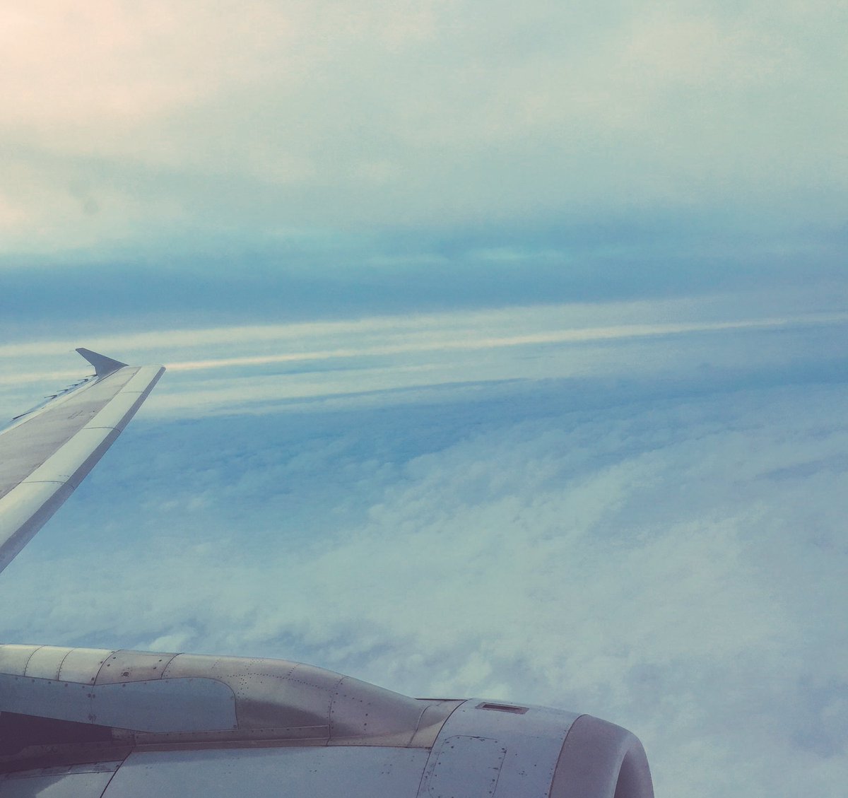 CaregivingMike's tweet image. I blogged about my journey to #hpm17. Here it is: i.care.ly/2l9yAXG  #hpmrookie17