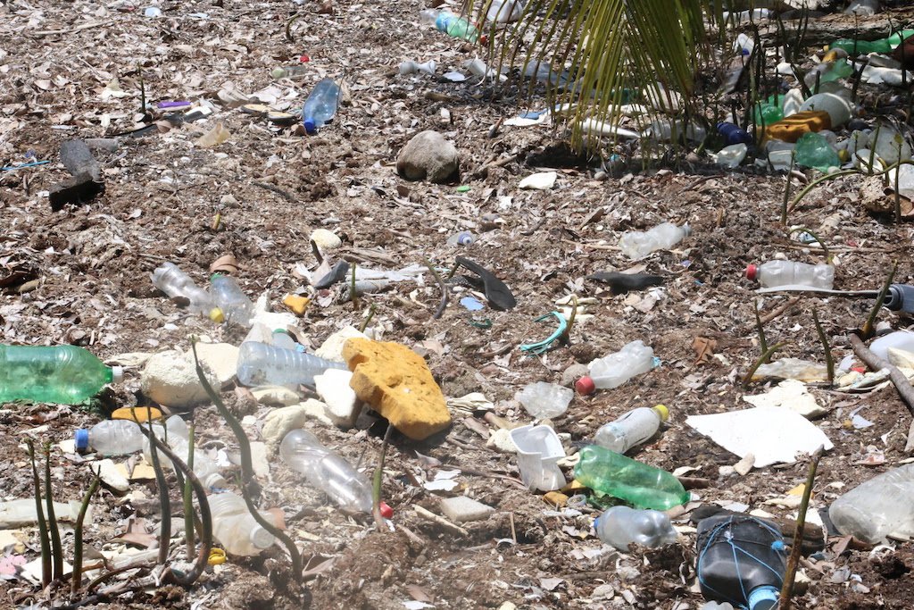 UNDP's tweet photo. Globally, 50% of plastic is used once &amp; thrown away. Much of this ends up in oceans &amp; back on coastlines. Reduce litter to #SaveOurOcean. https://t.co/fr6pC6BgIR