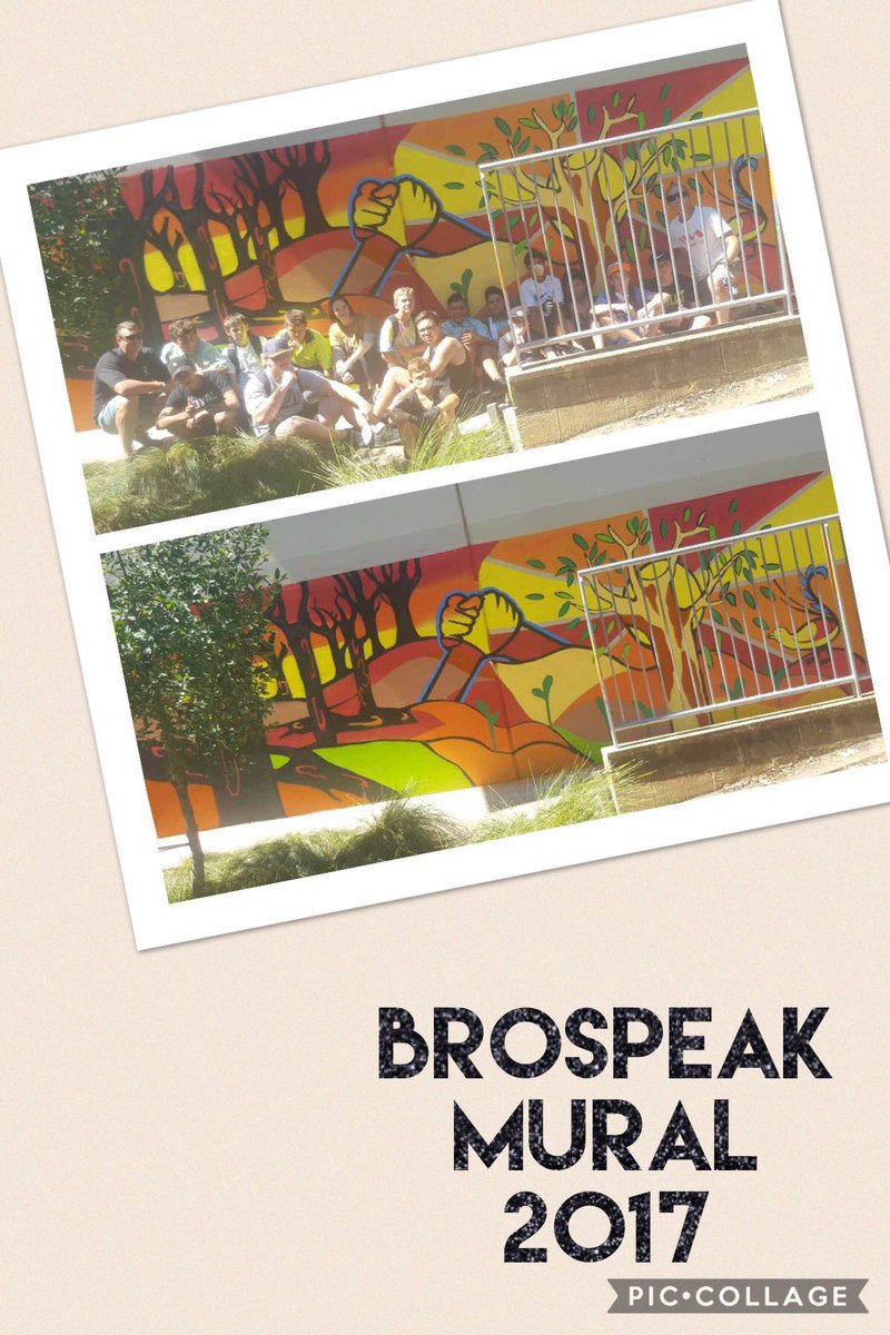 Airds High School tweet media