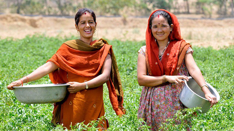 theonlinefarmer's tweet photo. Making #climatechange finance work in agriculture https://t.co/Qxbr4CrWP1 (via juice.li) https://t.co/khStQnxoa4