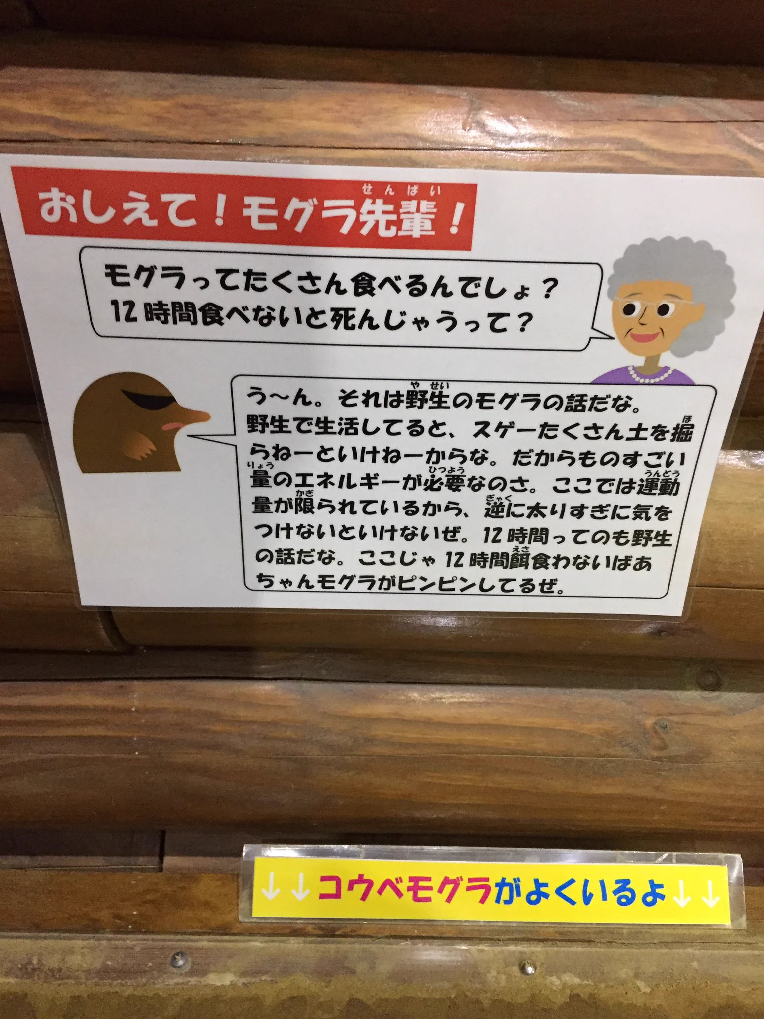 ぶっちゃけすぎだろｗ多摩動物公園の動物説明が正直すぎて逆に分かりやすいwww