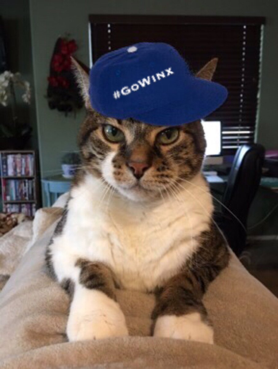 SkimTheRail's tweet photo. #REPRESENT #MightMare #GoWinx Hehehe! https://t.co/d4NwAsPbmI