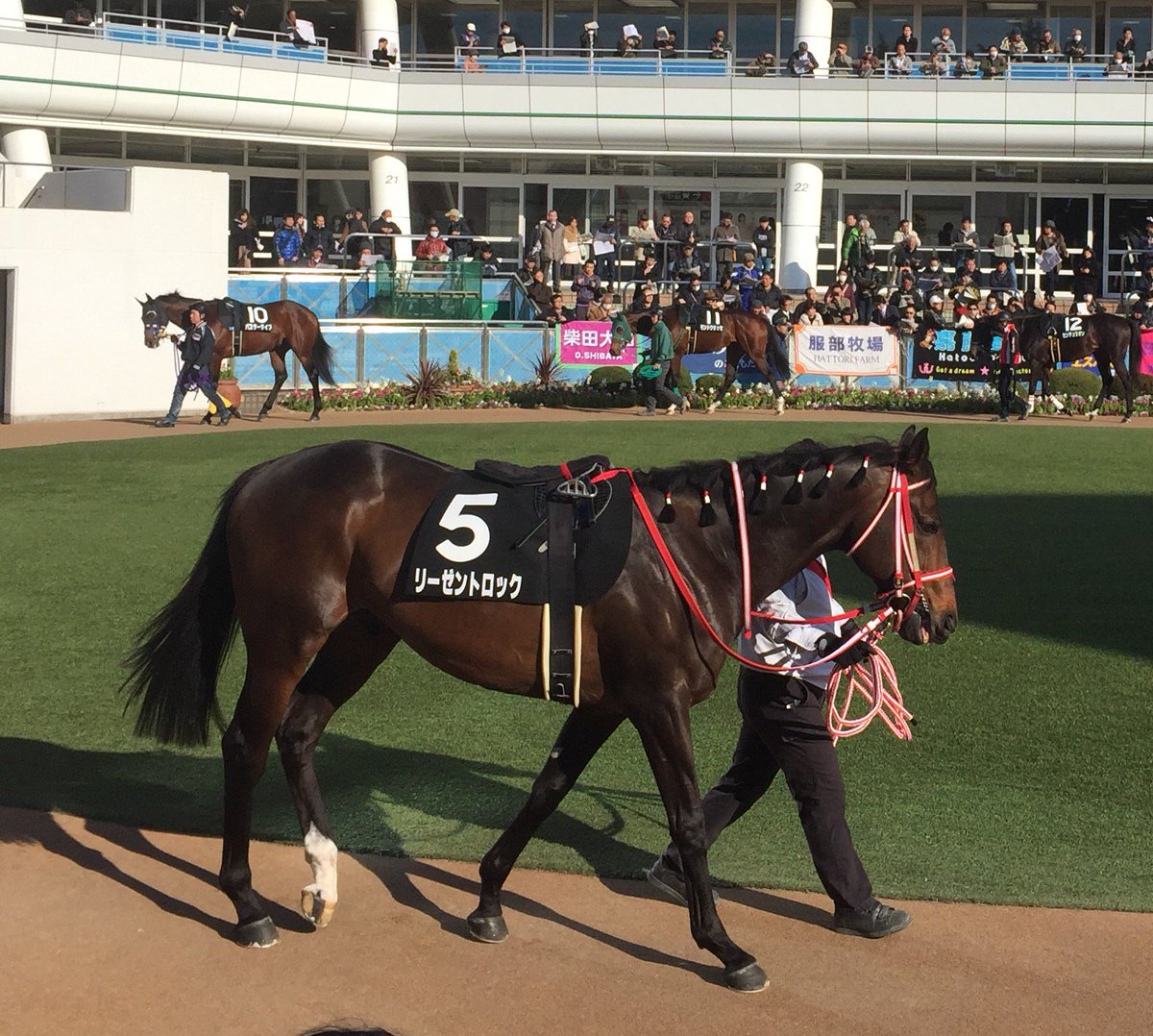 リーゼントロック