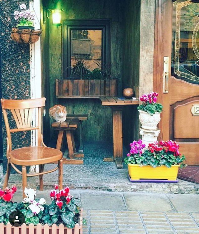 Iran_Style's tweet photo. #Cat waiting for #Persian #Latte at #Cafe #Doran, #ZafarStreet, #Tehran! #Poopaak #Peeyade #lifestyle #PersianCat #PersiabFood #travel https://t.co/phdDH8z33G