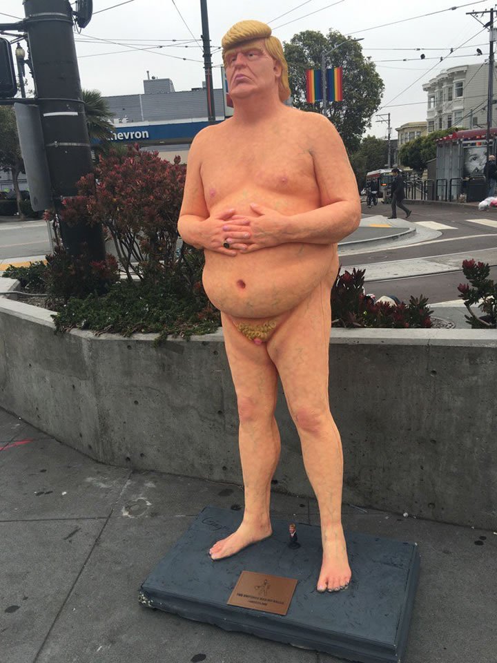 Making a life-size nude model of myself as a deterrent to thieves. If it doesn't scare them off, they'll be blinded and easily be captured.