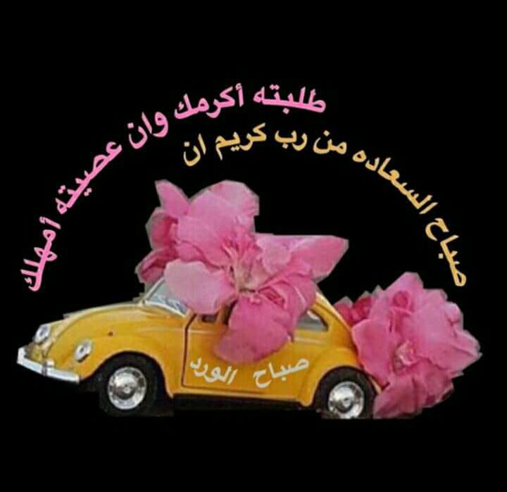 سيد باسم الموسوي (@asd2139389212) on Twitter photo 