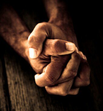 vivblessing's tweet photo. THE SLENDER NERVE https://t.co/CpKW6adf78 https://t.co/rKKAe7yYDf