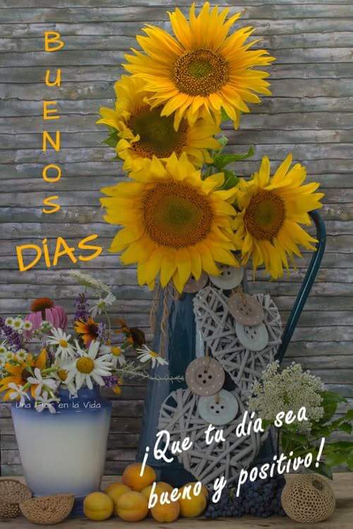 Manuel Mateos (@mateoszurdo56) on Twitter photo 