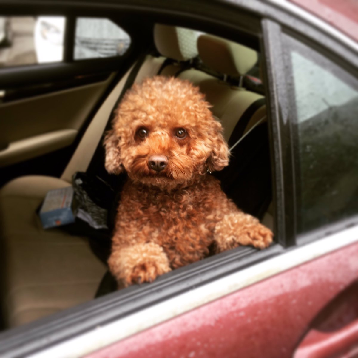 watfoon's tweet photo. Jey Boss where shall we go? https://t.co/rlQUbBquOD