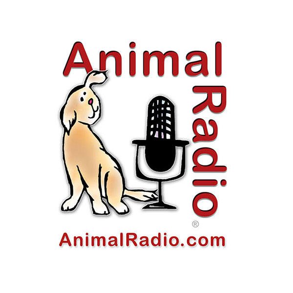 naturalanimals1's tweet photo. V. excited to be talking about #naturalanimal #health using #essentialoils & #herbs on @animalradio later today!: https://t.co/J4kGGN7DzA https://t.co/6ofLp2UCVf