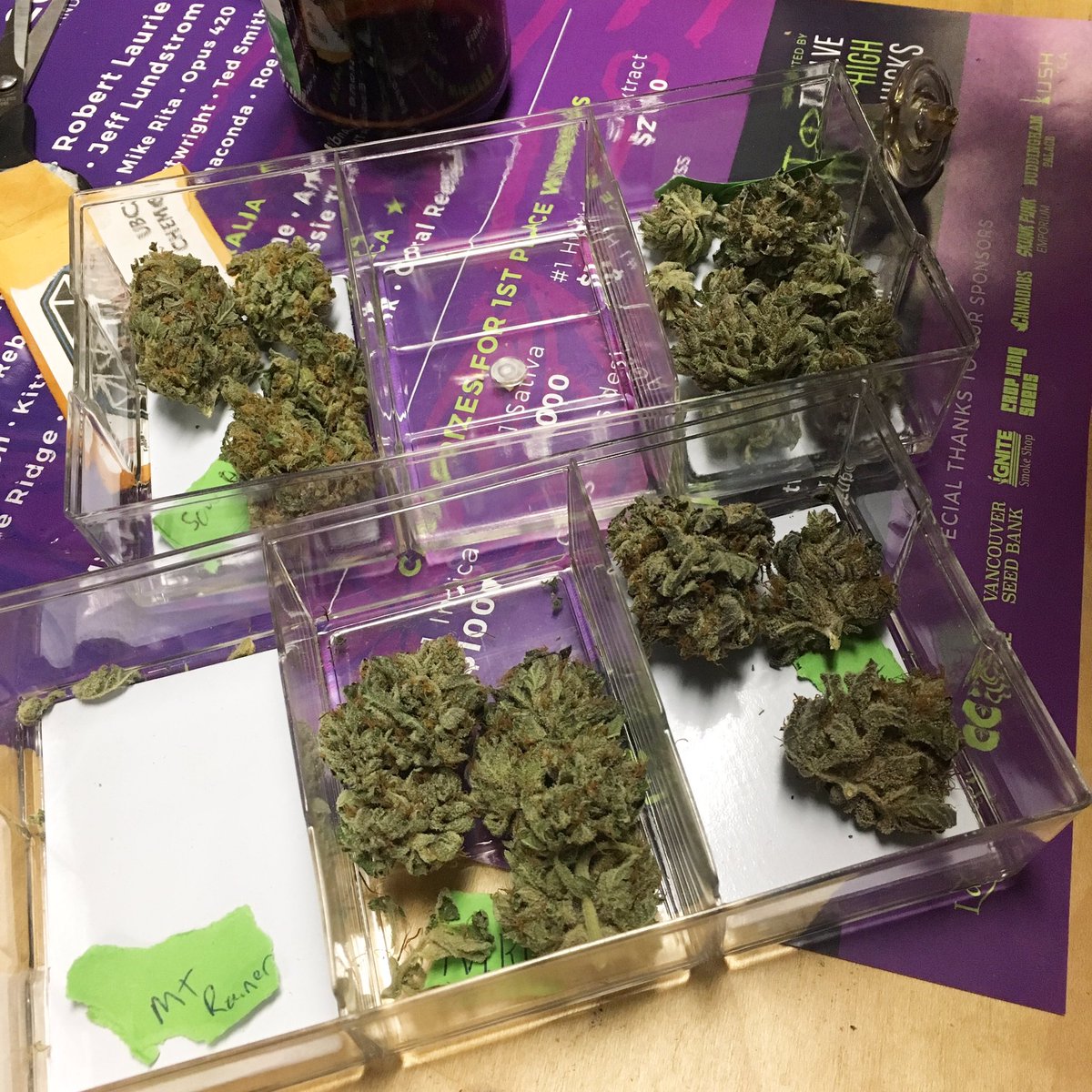 CoralReefer420's tweet photo. Good times at the #MOMcup today! https://t.co/4dcRsZJPb9