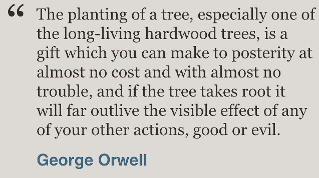 Today I am planting 200 trees in my garden to make a native hedge.  What a lovely quote from George Orwell. #aliceb…