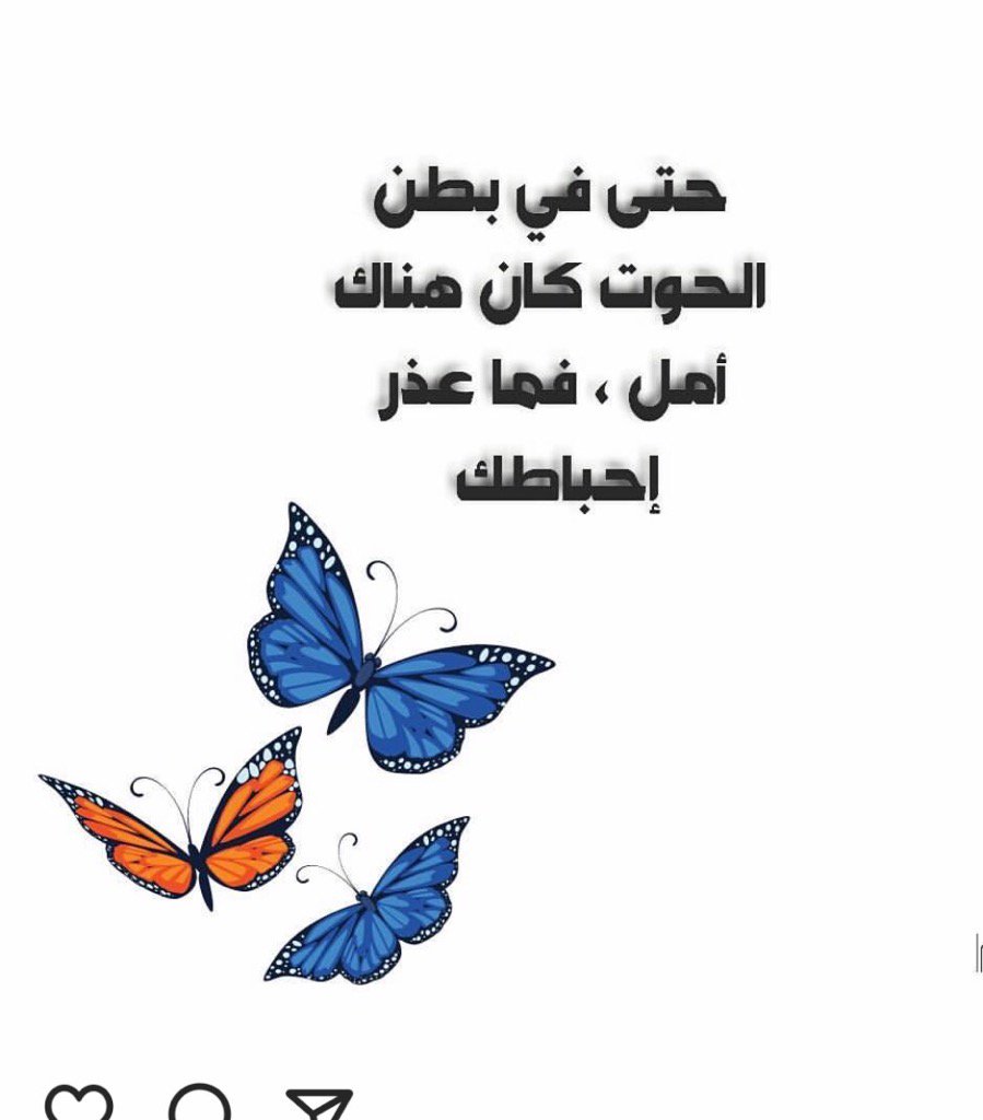 ShrefUm's tweet image. 