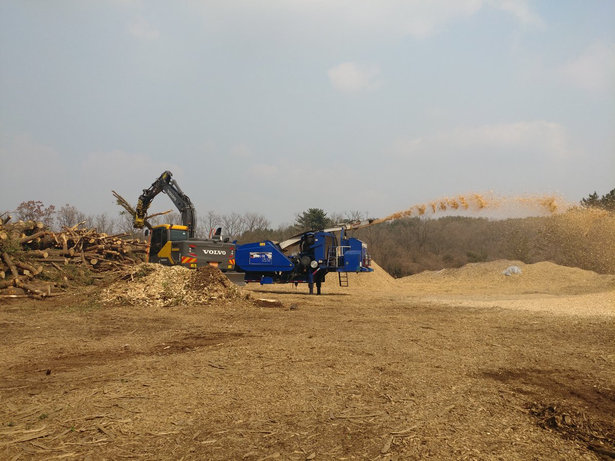 supsansa's tweet image. 제주의 소나무재선충병 피해목이 파쇄되고 있다.뭔가 대안을 찾아야 하는데..