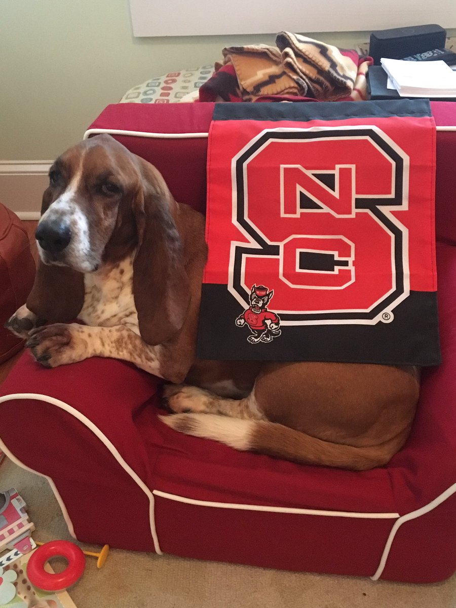 GTurinsky's tweet photo. Lord Stanley GO PACK #tuffysteam https://t.co/5RzCcqQzi7