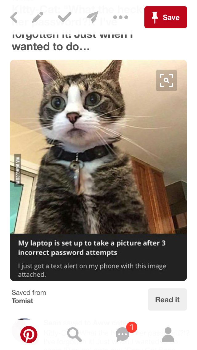 Top Cat Flaps (TopCatFlaps) Twitter