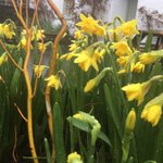 Photo by Eltermere Inn (@eltermereinn)