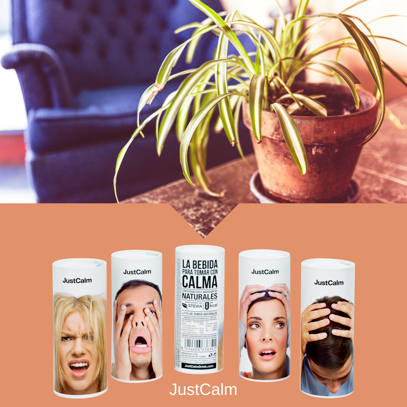 JustCalmDrink's tweet photo. Nosotros participamos en procesos productivos responsables y nos comprometemos con el medio ambiente. ¡Hay que cuidar nuestro entorno! 🌳👈 https://t.co/pr9Ltl1nUT