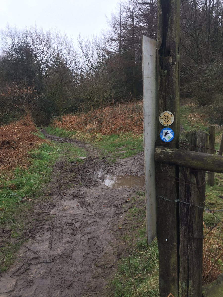 wodroom's tweet photo. After a busy week balancing work, family and training schedules it's nice to get a few free hours #trailrunning #ukrunchat #wodroom https://t.co/94nIylprNO