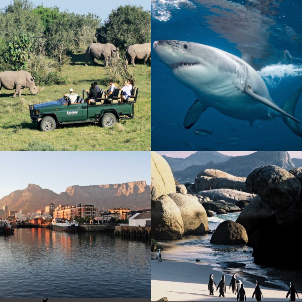 Kuoni_Harrogate's tweet photo. Has @Schofe in South Africa left you wanting your own adventure? Speak to Vicky our South African Expert #SAholiday #tripofalifetime #travel https://t.co/zfD9vQyd4F