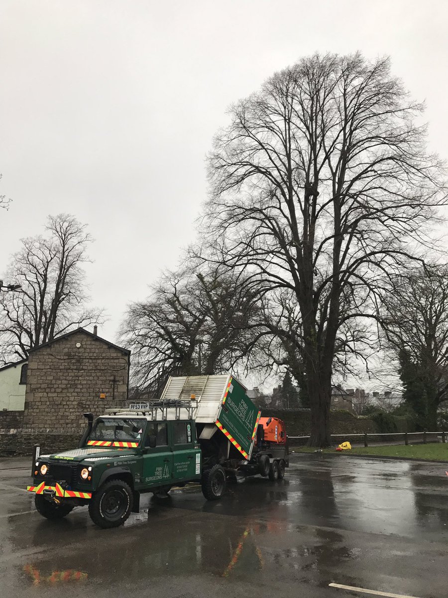 hodge100's tweet photo. This morning we were removing dead wood from a Lime tree. Thanks to @sladey76 for climbing this sloppy beast. #treework #treesurgeon #kendal https://t.co/SZz1L337Ou