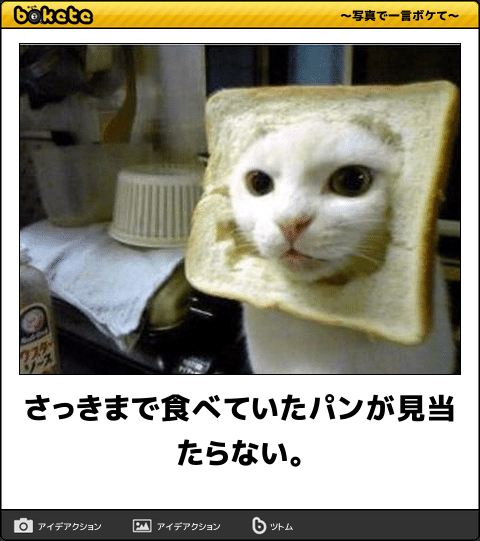 こっちは赤子やぞ 優しく予防接種せんかい ボケて 2月28日 Togetter