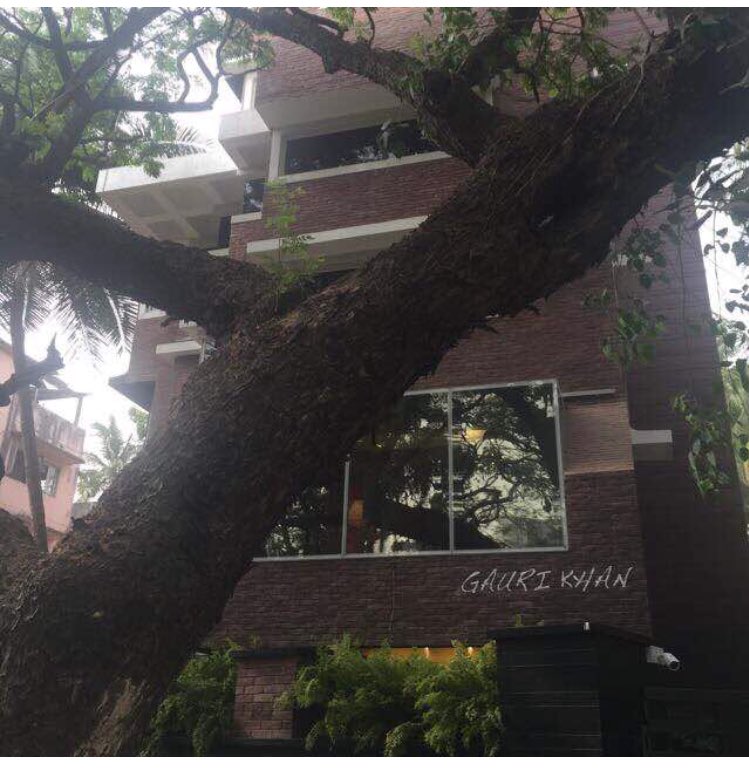 gaurikhan's tweet photo. My Design studio@khar.. Architecture starts when you carefully put two bricks together. https://t.co/4kespQiUrk