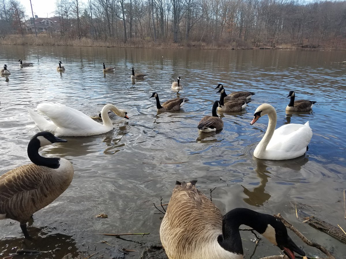 exploridea's tweet image. Feeding wildlife is kind of a meditation. Lets you forget all the noise of civilization, at least for a few moments