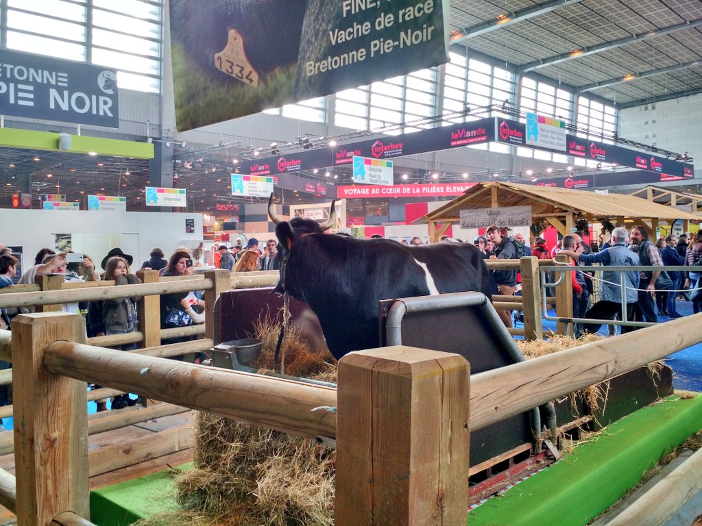 AgroSIA_APT's tweet photo. [AgroSIA vous aide] Réponse à question n°1 des visiteurs : "ou est #fine  ?" Réponse : hall 1 au bout de l'allée prestige! ;) @Fine_SIA2017 https://t.co/llUYfn4KW0