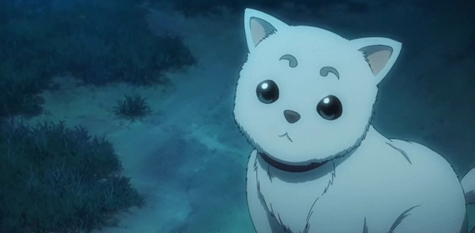 よりぬけ まるこめ 定春happy Birthday 万事屋には欠かせない存在 前のアニ銀の時に銀さんとかと同じ侍の魂持ってるんじゃないかな 定春生誕祭17 よりぬけ まるこめ 定春happy Birthday 万事屋には欠かせない存在 前のアニ銀の時に銀さんとかと同じ侍の魂持ってるんじゃないかな 定春生誕祭17