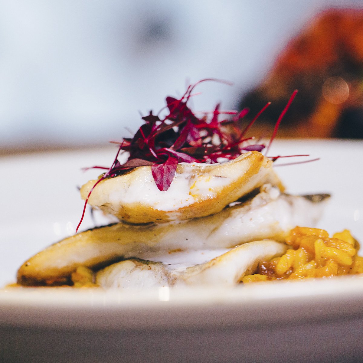 There is only one way to achieve the perfect Sunday - in the comfort of the Birdtree and Bellfish.
Book Today: bit.ly/2hJzM6z