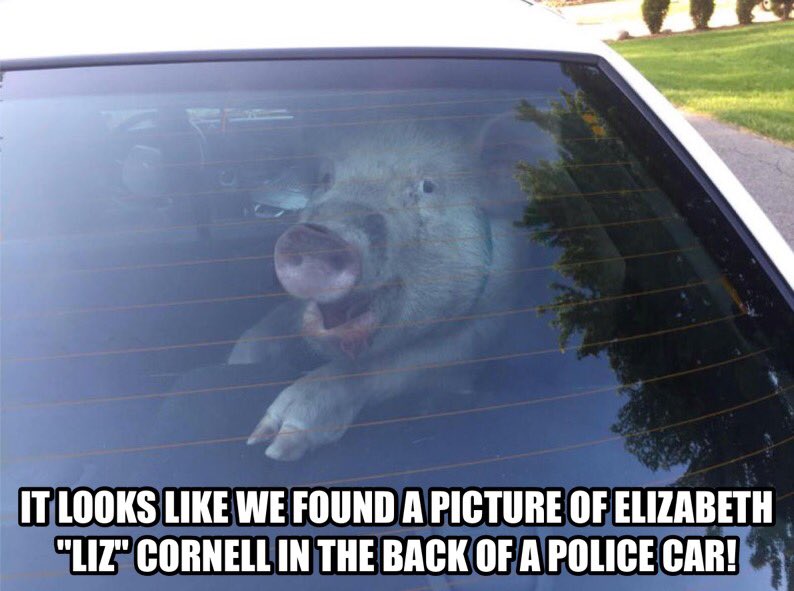 LizCornellMeme2's tweet photo. #Cranston #RhodeIsland #trailertrash hoe Liz Cornell (https://t.co/zKazoYxH40) #memes of day for February 25, 2017 #exposed #CheatingHoe #RI https://t.co/J5Dgw7V1sr