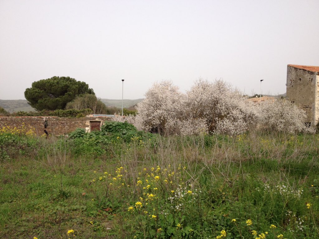 Con Caretto Spagna nel giardino dell' ex-sugherificio, Ploaghe (SS). Nuovi Committenti curato da <a href="/a_titolo/">a.titolo</a> e promosso da <a href="/Fondationfrance/">Fondation de France</a>.