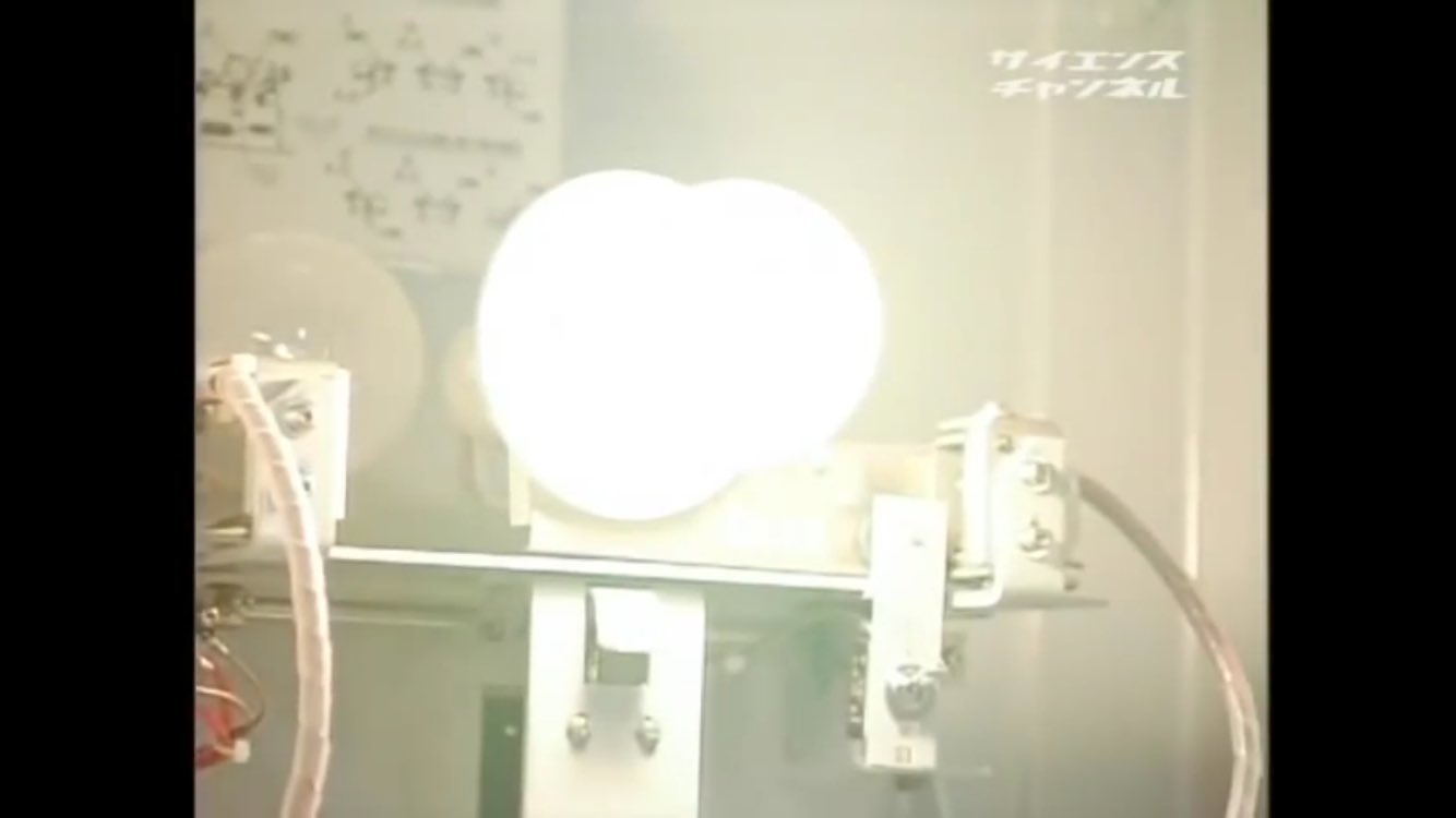 いわたび on X: 