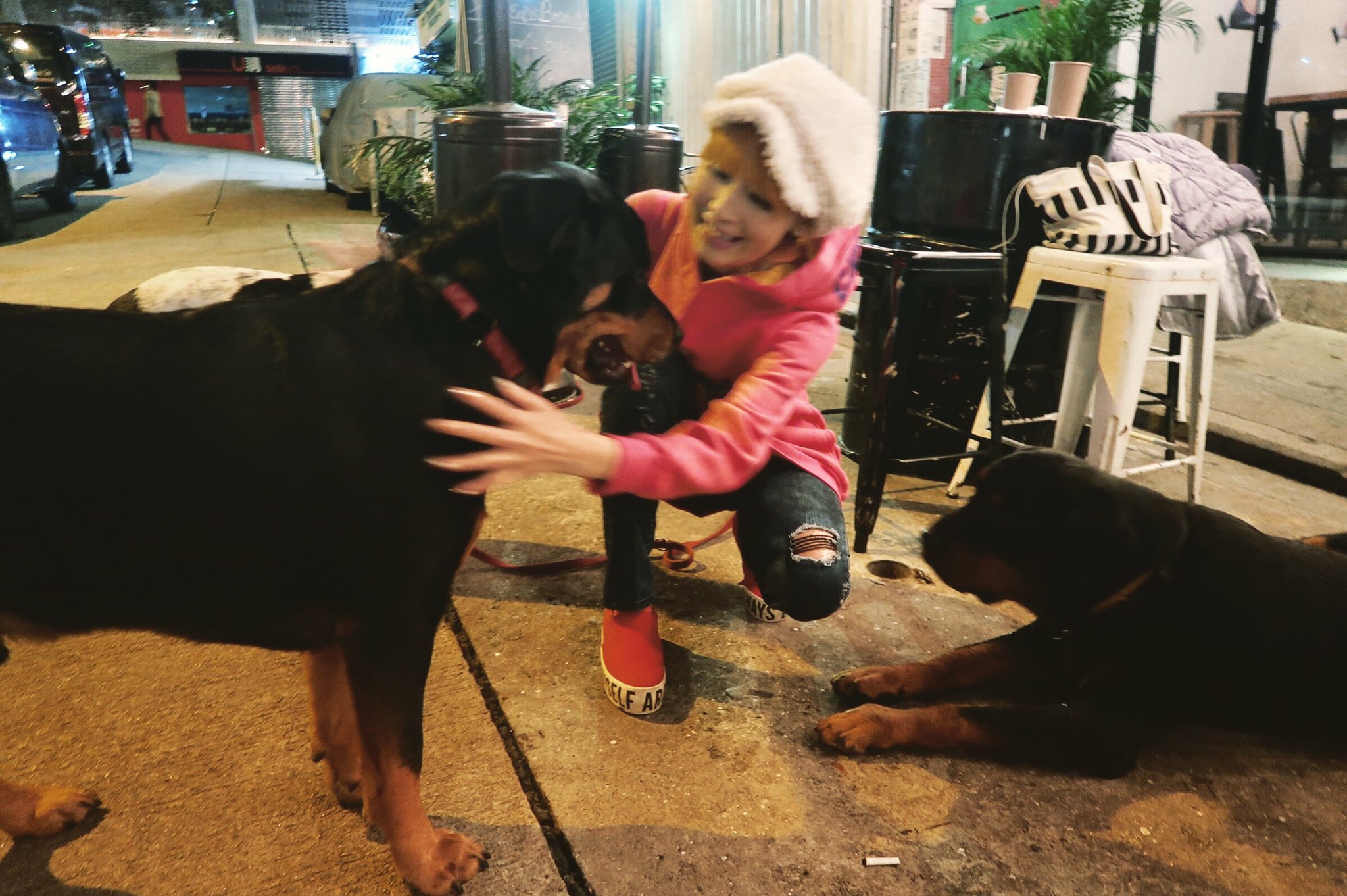 Rie りえ 香港 Al Twitter ロッキーは看板犬なんだけど お店の人たちもお客さんも うちの熊仔とロッキー を間違えたりしてた 左が熊仔 右がロッキー ロットワイラーは本当に愛嬌たっぷり愉快なワンコ 香港 Hongkong Dog Dogs 汪星人 香港犬生活 ロット