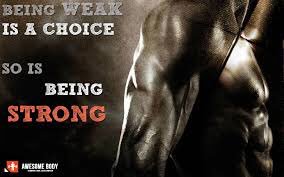 FreeProtein tweet picture